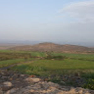 Meet your Posher, Mohammed